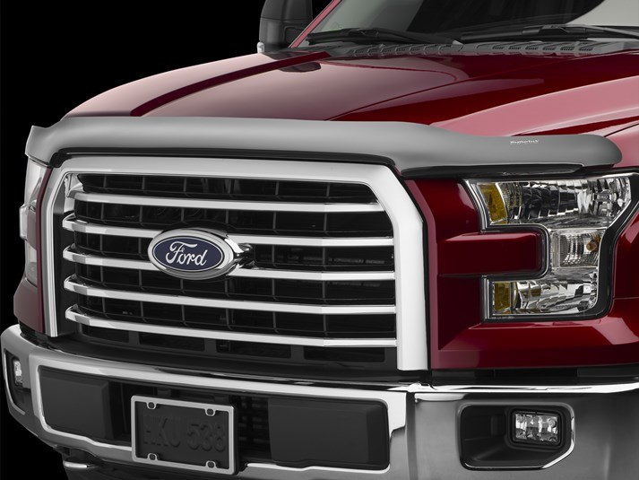 Ford F150 Bug Deflector