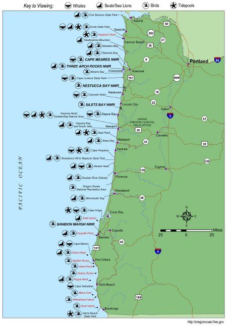 map of oregon coast campgrounds Wildlifemap Oregon Coast Oregon Travel Oregon Vacation map of oregon coast campgrounds