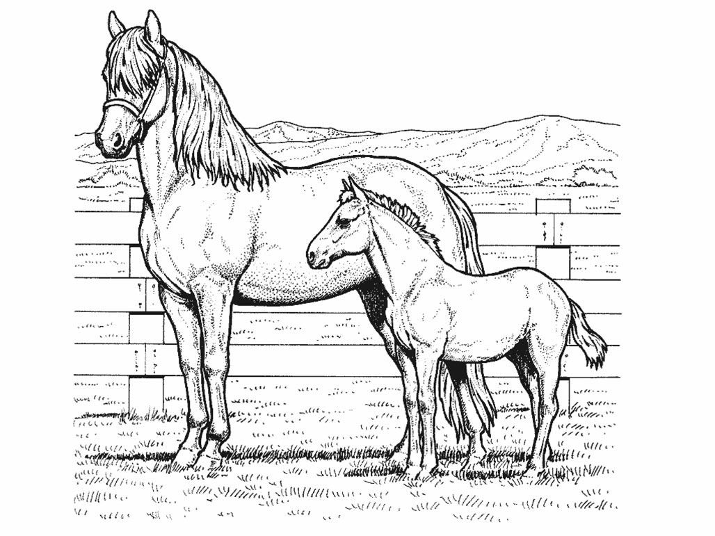 Download Free Horse Coloring Pages For Download | Horse coloring ...