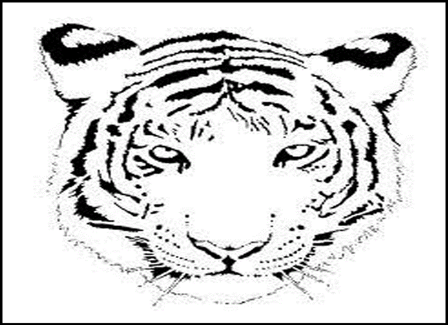 Free Printable Tiger Coloring Pages For Kids Coloring