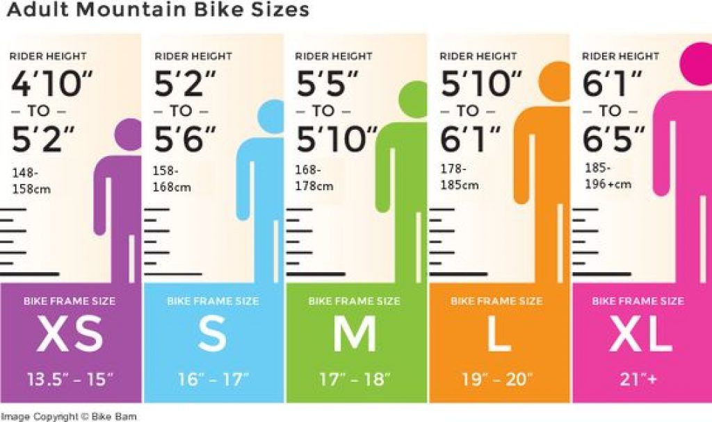 Trek Bike Size Chart Inches