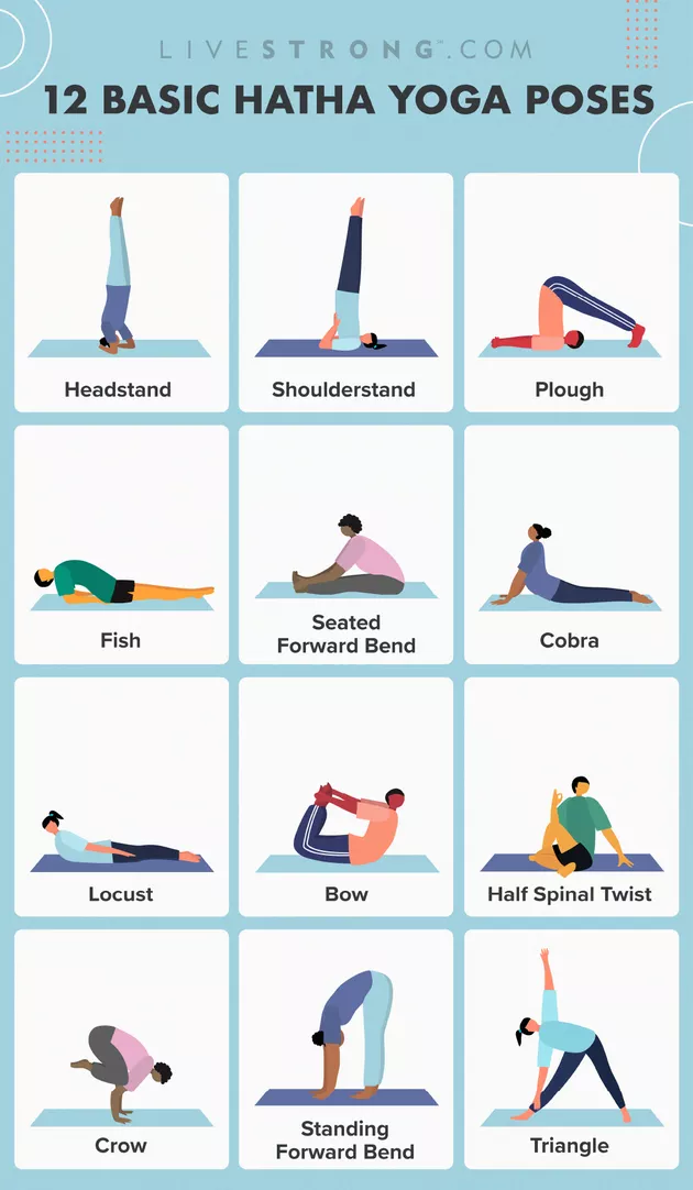 Basic Yoga Poses Printable Chart Modern Life Free Printable Yoga Pin ...