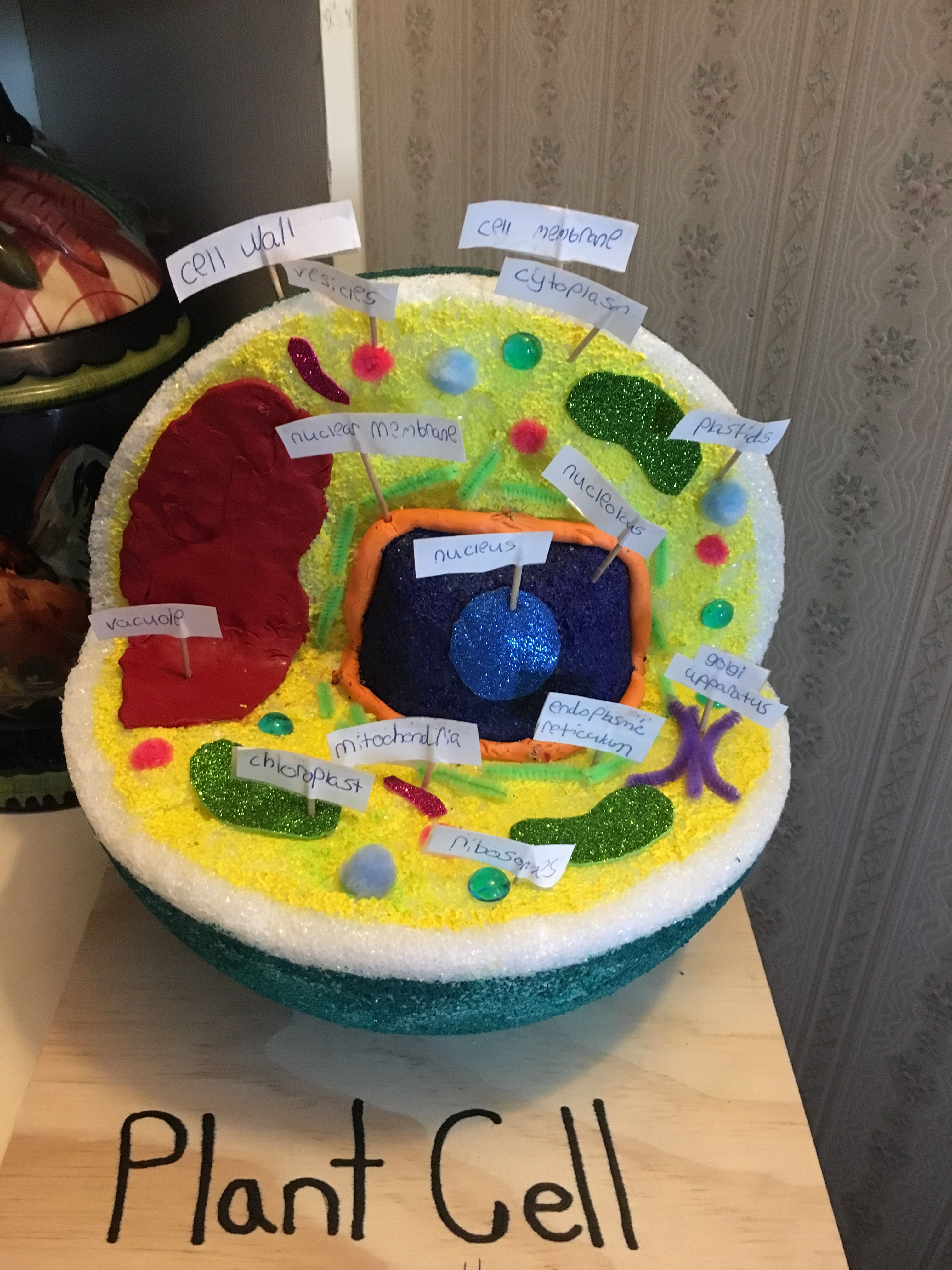 Diy Plant Cell Model Project Plant Cells Project Ideas Plant Cell | My ...