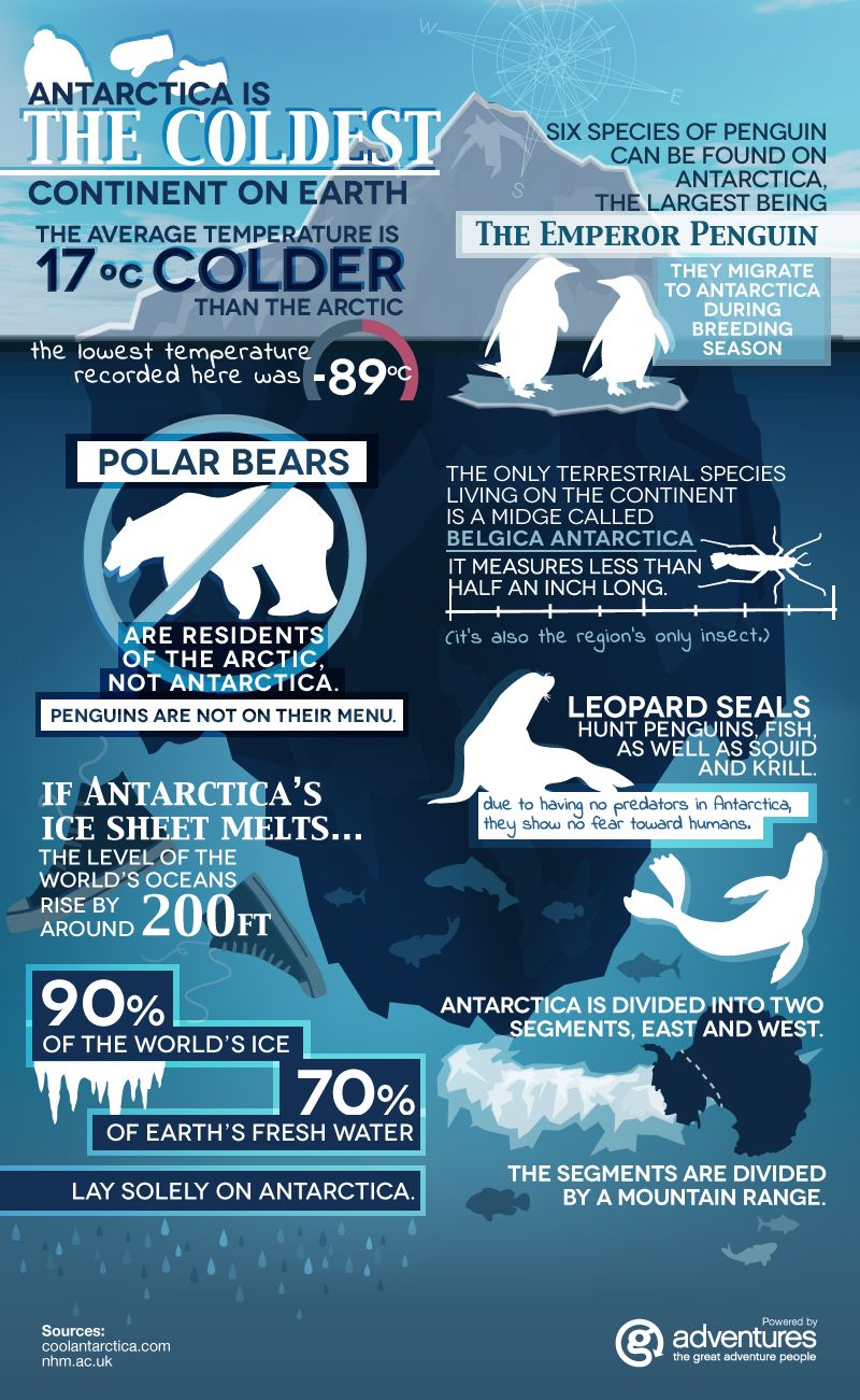 Fun facts about #Antarctica - Infographic Antarctica Travel, Pseudo ...