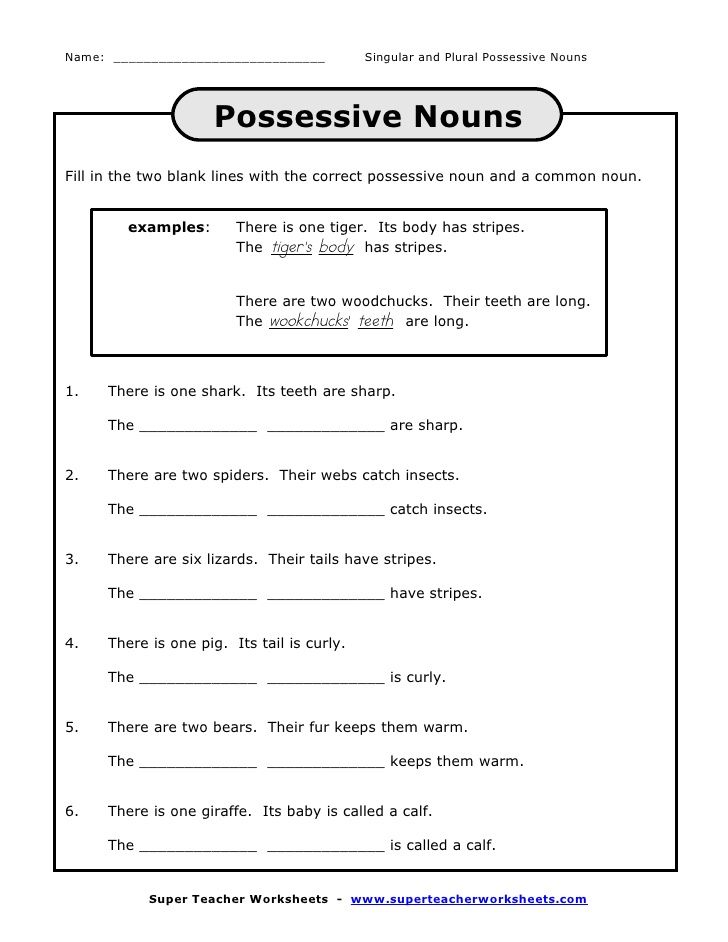 Possessive singular-plural | Possessive nouns, Possessive nouns ...