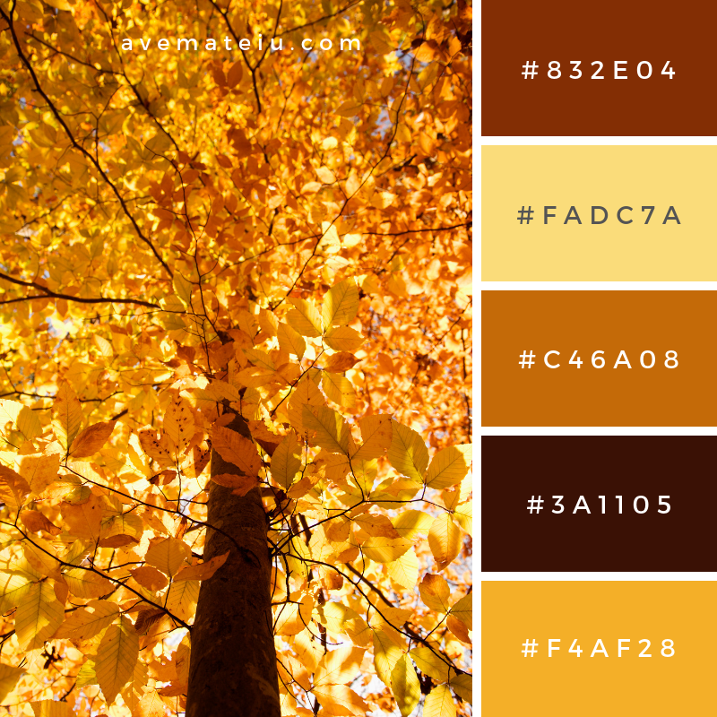 Autumn Color Palette And Scheme Hex Color Palette Vin - vrogue.co