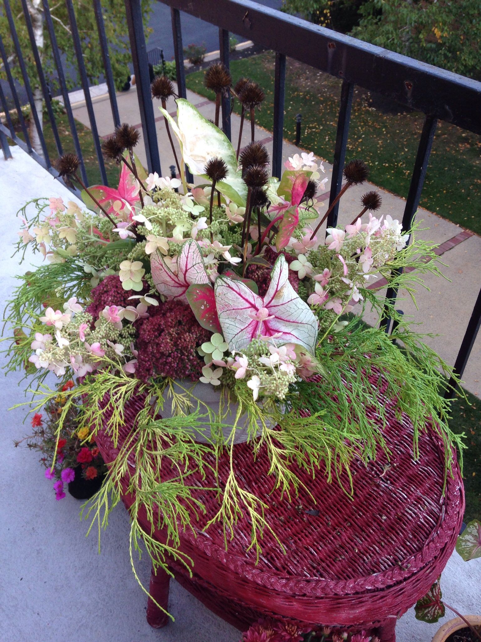 Fall planter Fall Planters, Container Gardening, Landscape Design, My ...