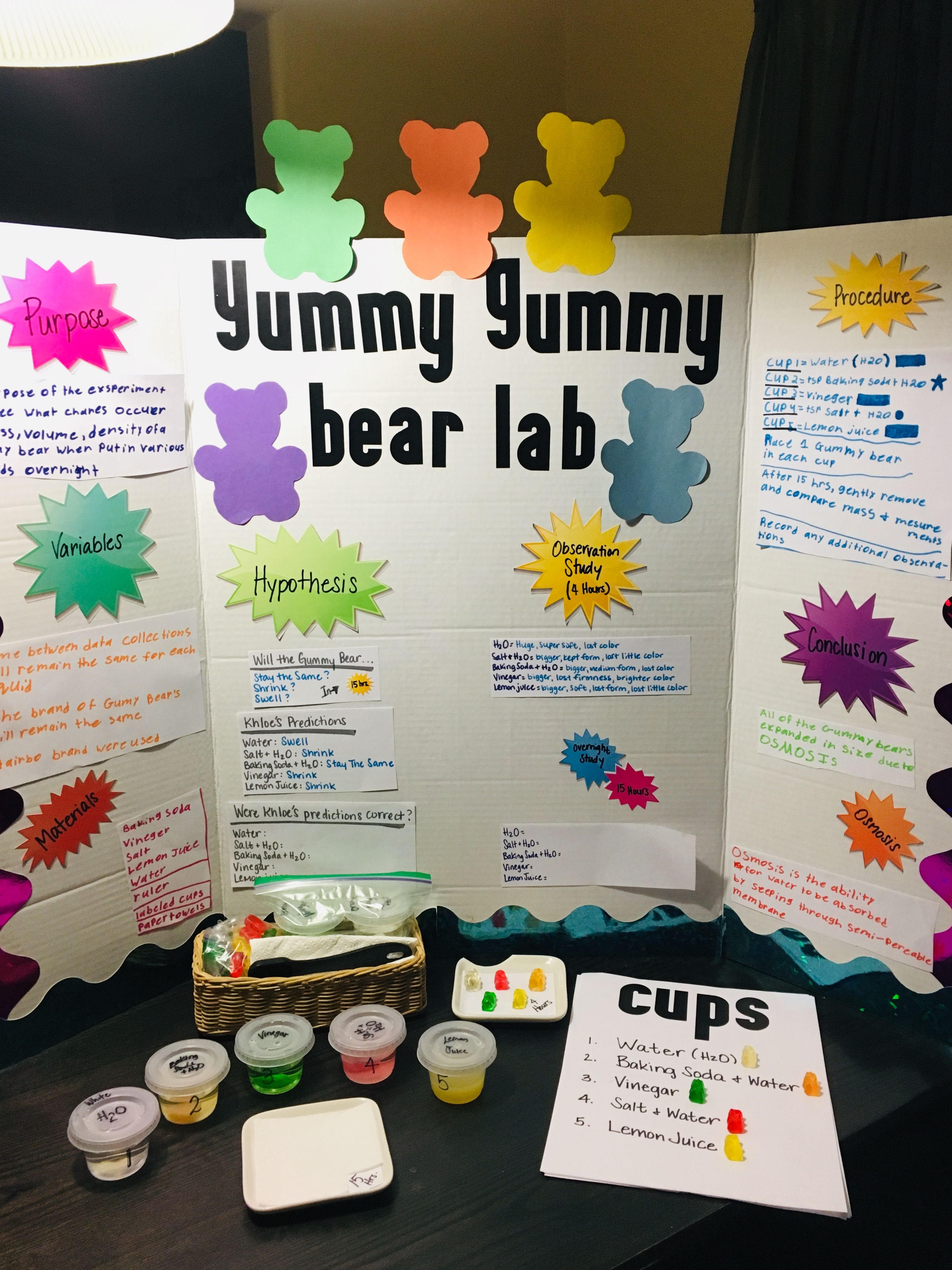 Gummy bear experiment on osmosis – Artofit