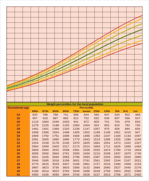 Baby Growth Chart Templates | 11+ Free Docs, Xlsx & PDF Toddler Growth ...