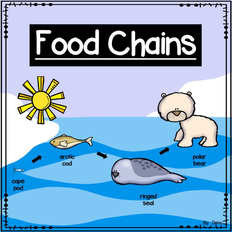 Food Chains | Food chain, Colorful posters, Science activities