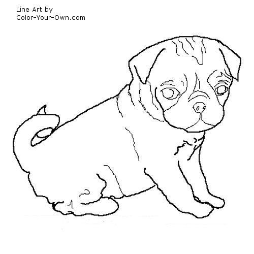 Image detail for -Related Searches for pug coloring page | Dog coloring ...