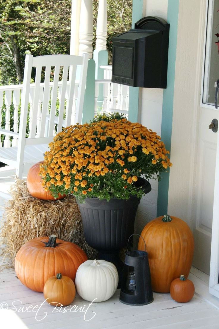 35 Front Porch Decoration Ideas for Fall | Fall front porch decor, Fall ...