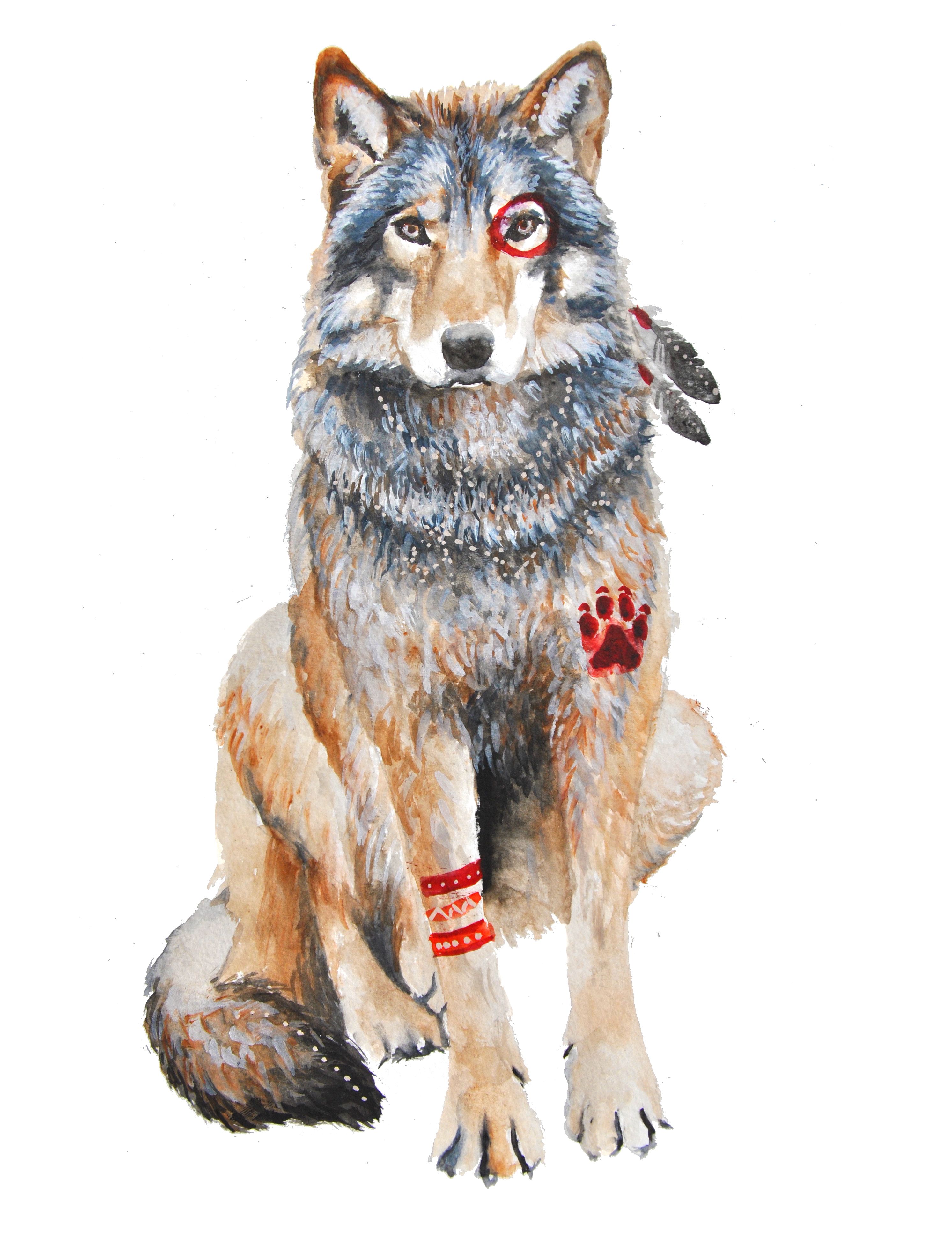 Native Wolf by colors of the wild | Tiere zeichnen, Gefällt