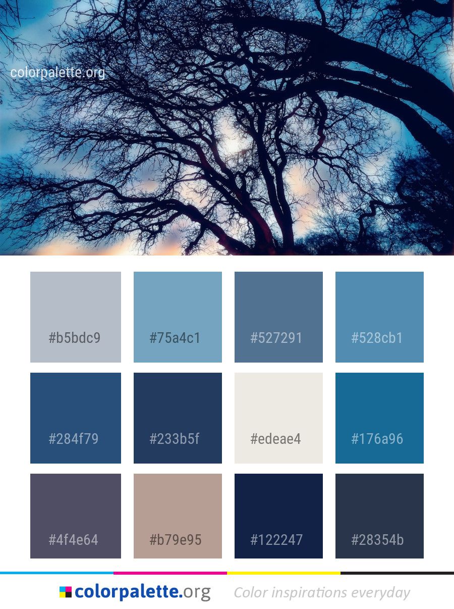 Sky Blue Branch Color Palette colors inspiration 