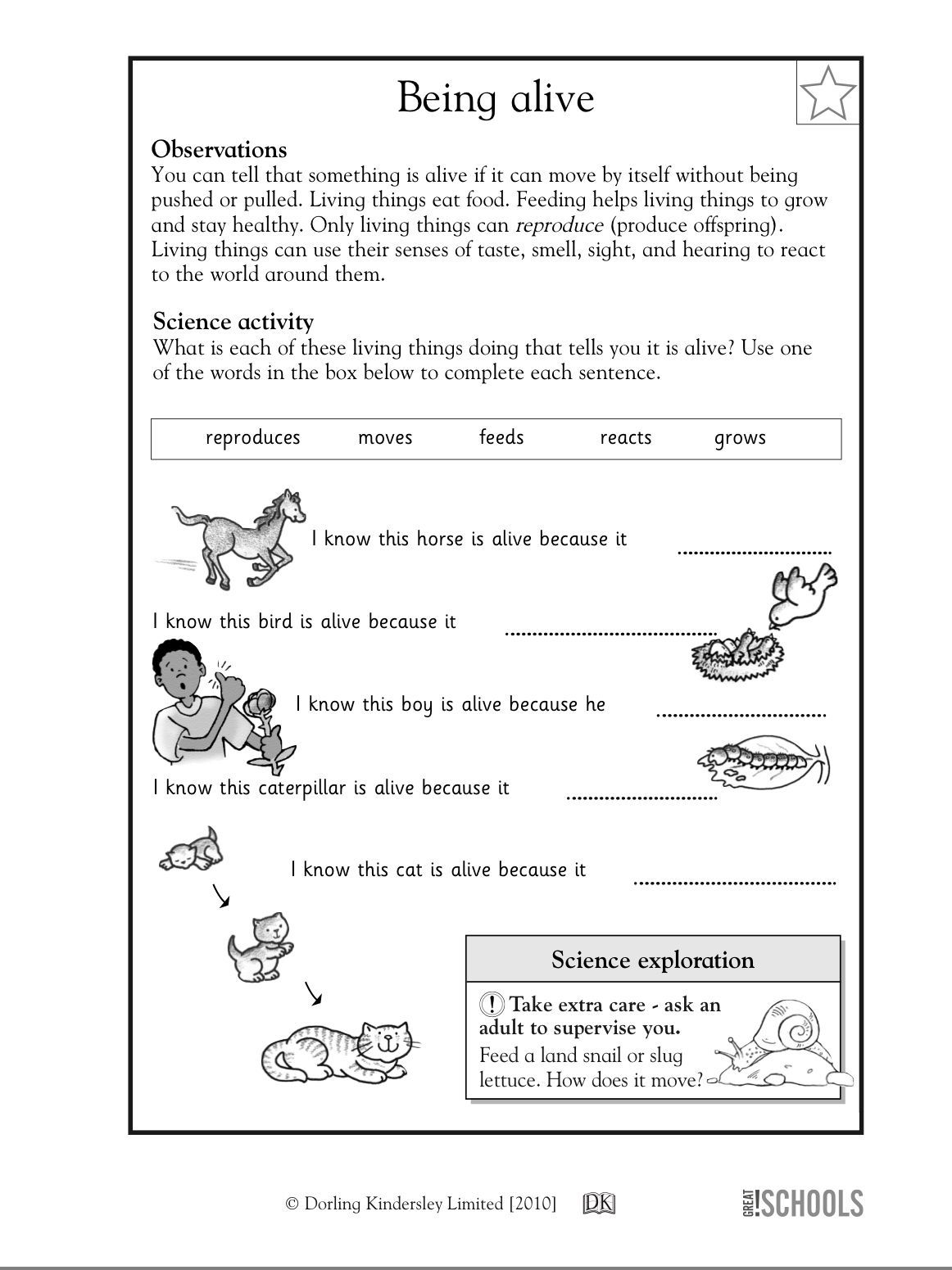 Science For Third Graders Worksheets