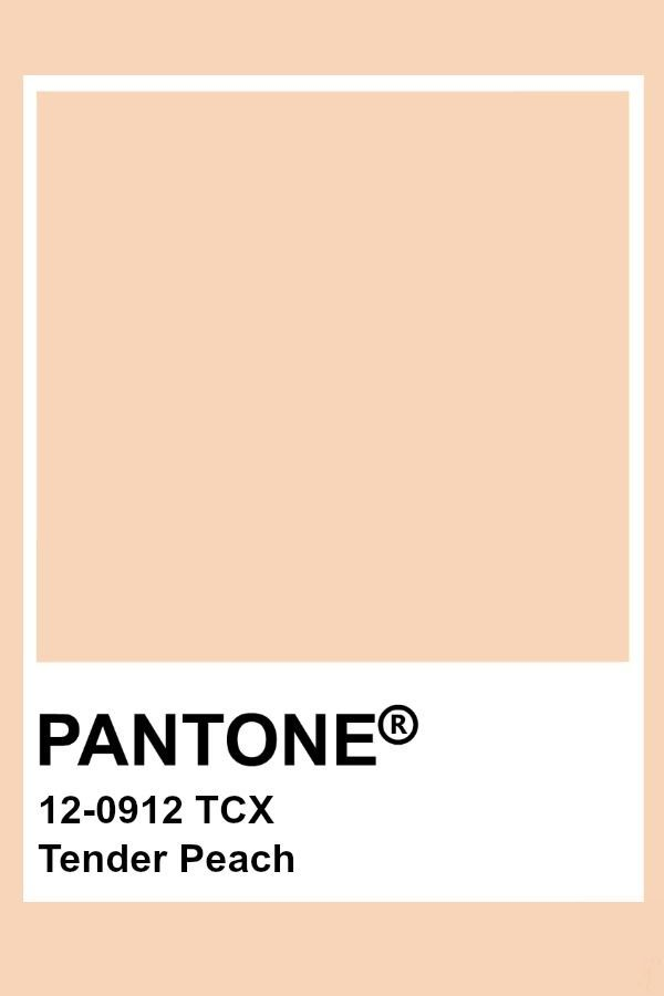 Pantone Tender Peach in 2020 | Pantone color, Pantone colour palettes ...