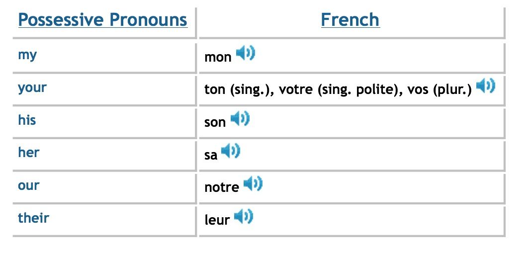 French Possessive Pronouns Pdf Possessive Pronoun Possessives Education ...