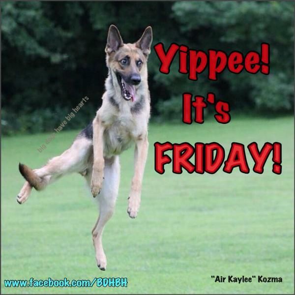 Happy Friday!!! Enjoy Your Weekend!! | Friday quotes funny, Happy ...