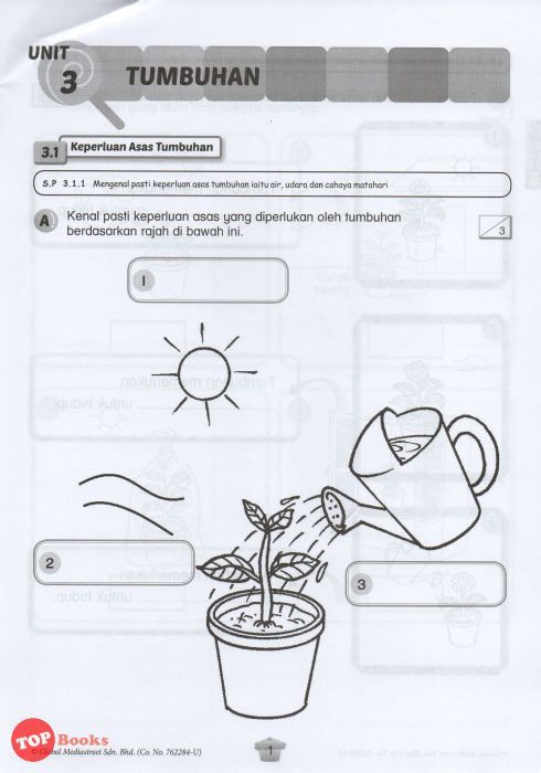 Lembaran Kerja Sains Tahun 2 Tumbuhan Sains Tahun 2 Tumbuh Tumbuhan ...