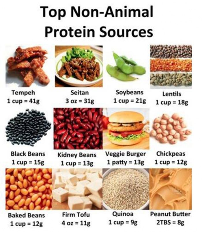 Non Protein Foods