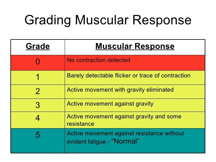 Muscle Grade Chart