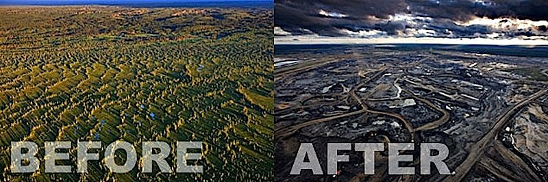 11 Deforestation Before And After Ideas Deforestation Environment Rainforest