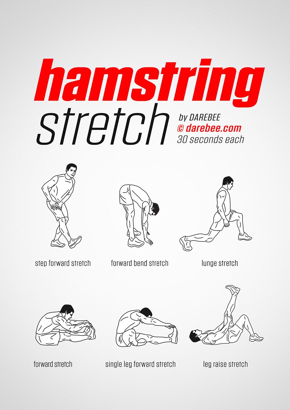 Hamstring Stretch | Post workout stretches, Hamstring workout ...