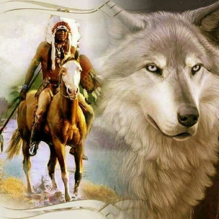 Native American Wolf, Native American Pictures, Native American Artwork ...