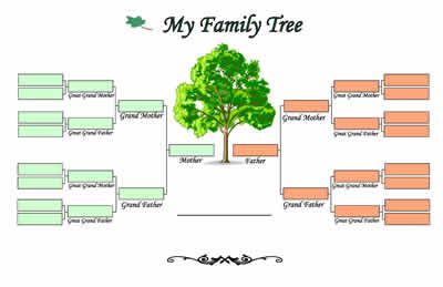 family tree template - Google Search Family Tree Diagram, Blank Family ...