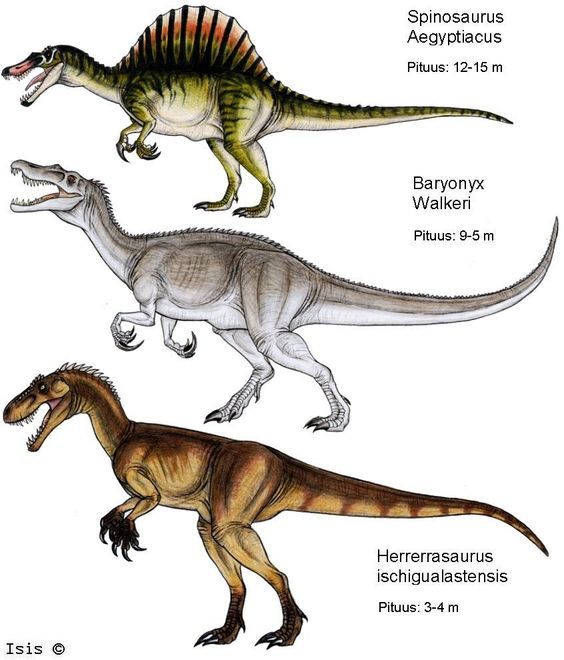 Carnivores #dinosaurs: Cool Dinosaurs, Jurassic World Dinosaurs ...