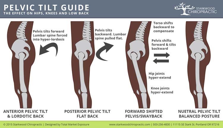 Pin on Physio