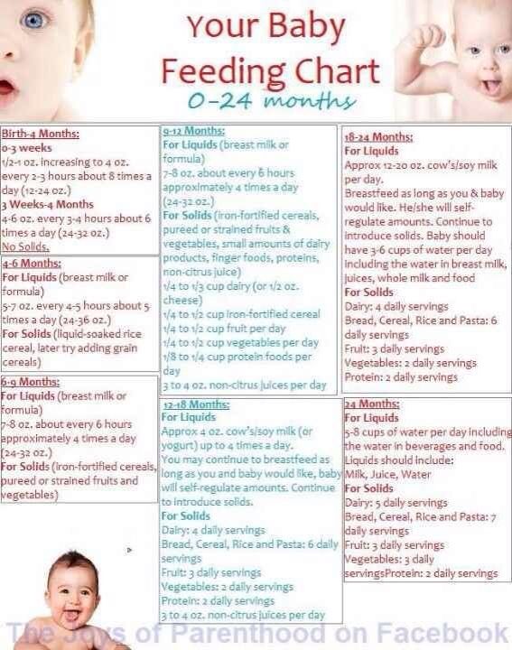 Baby/toddler feeding chart | Baby feeding chart, Baby feeding, Homemade ...