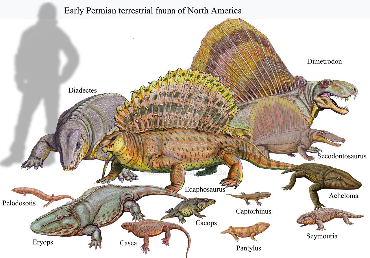 Triassic Life Forms