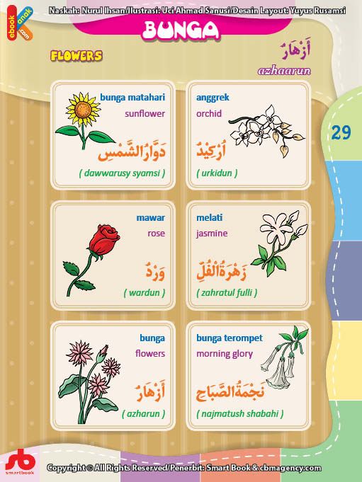 Bahasa Arab Tumbuhan - Homecare24