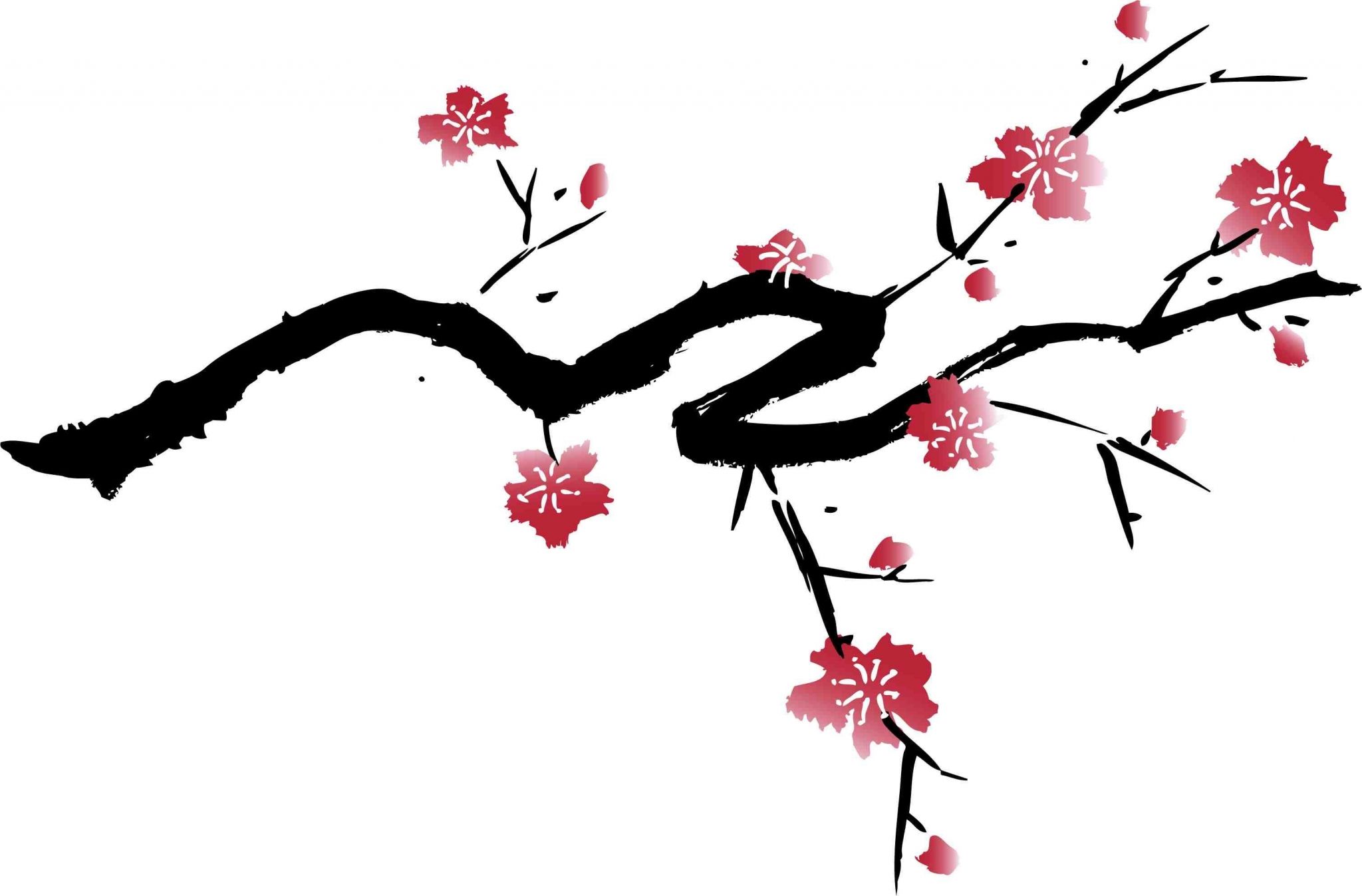 Cherry Blossom Drawing Wallpaper