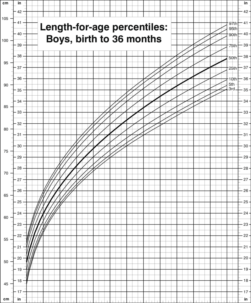 What Is A Baby Percentile Graph? - Free Sample, Example & Format ...