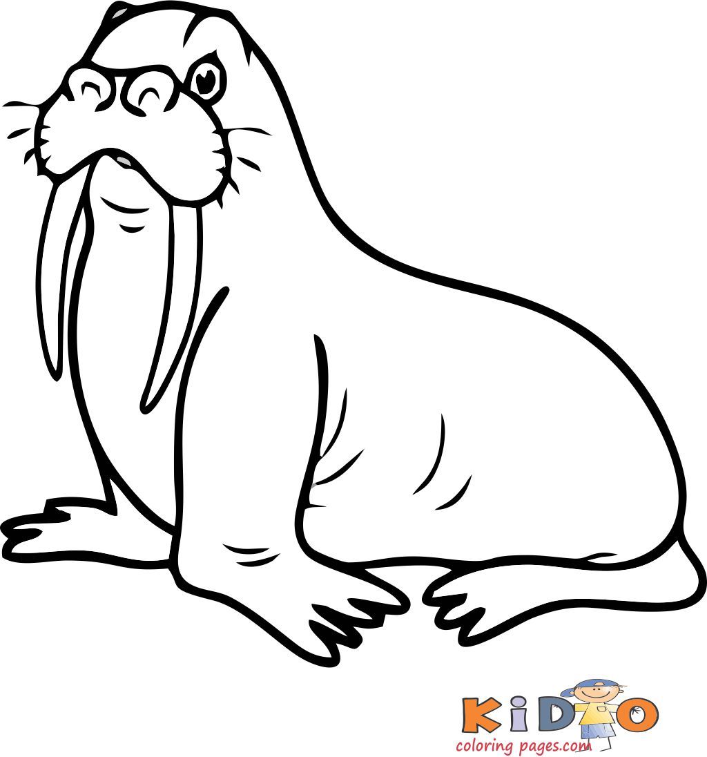 10 Top Walrus Coloring Pages