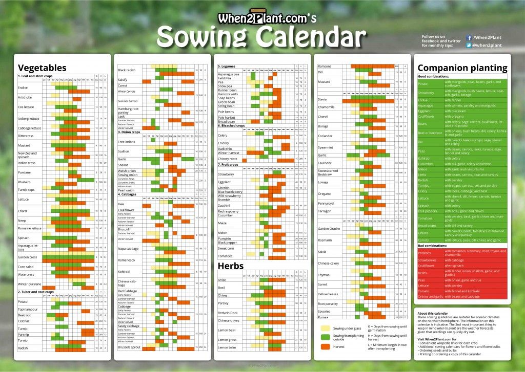 Planting calendar, Planting vegetables, Garden calendar