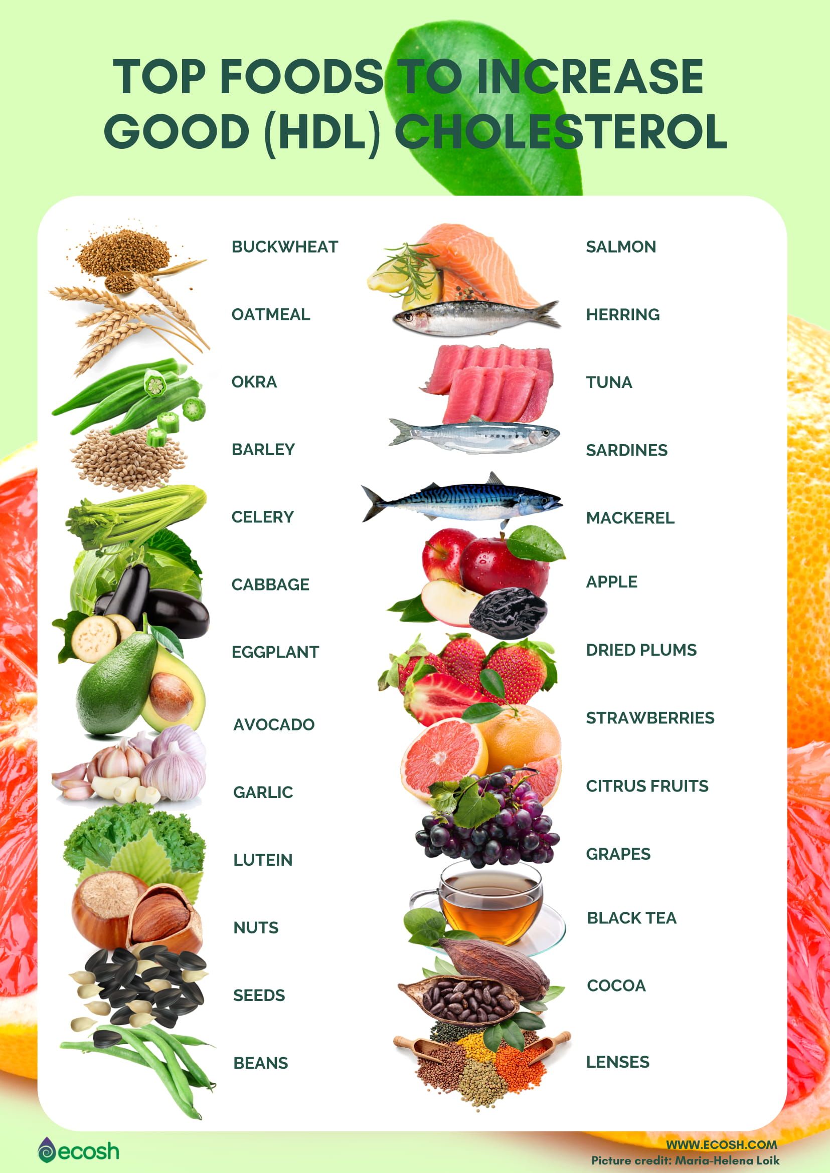 High Cholesterol Printable Low Cholesterol Food List