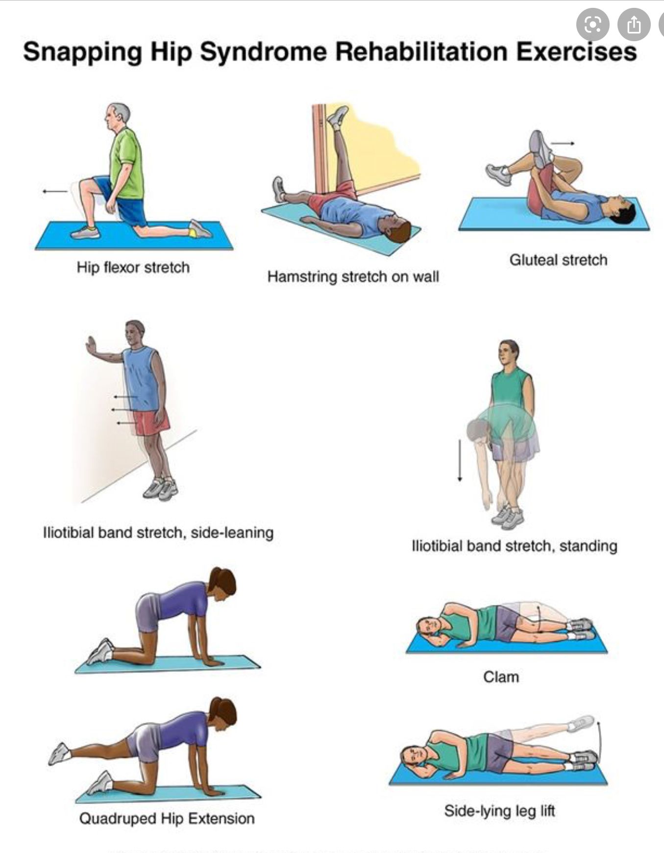 Pin by Danielle Collins on Stretching | Snapping hip syndrome ...