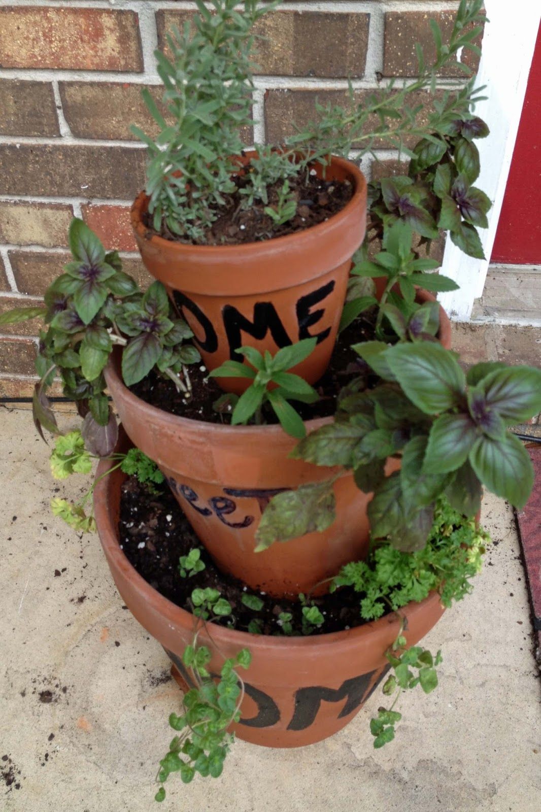 34+ Container Herb Gardens and Other Herb Garden Ideas