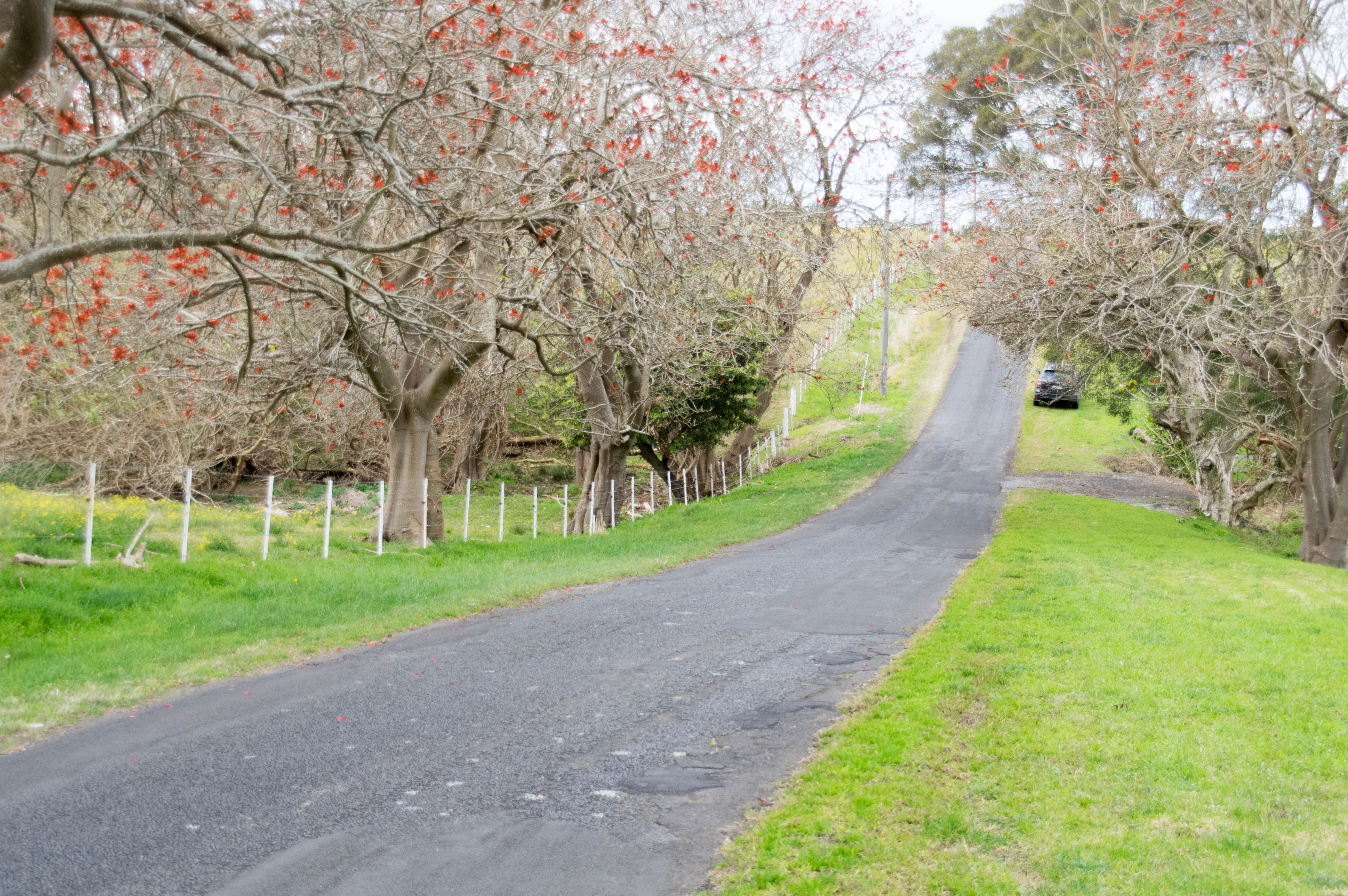 North Macquarie Rd Country roads, Locations, Road