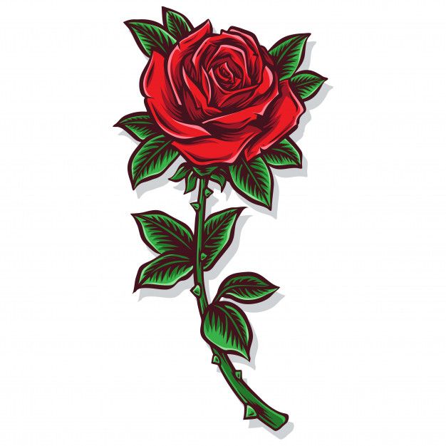 Rose stem vector and illustration | Premium Vector #Freepik ...