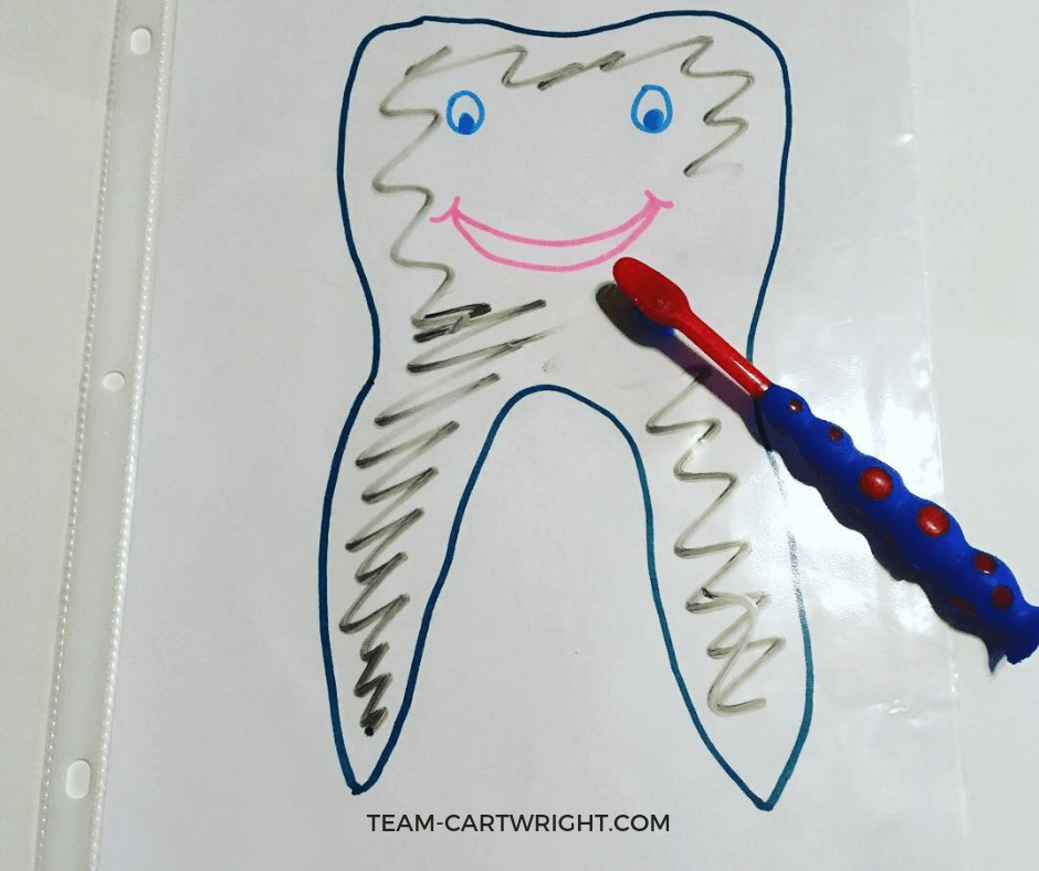 Printable Brush Teeth Activity