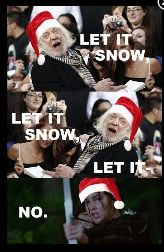 Christmas in the hunger games | Hunger games humor, Hunger games ...