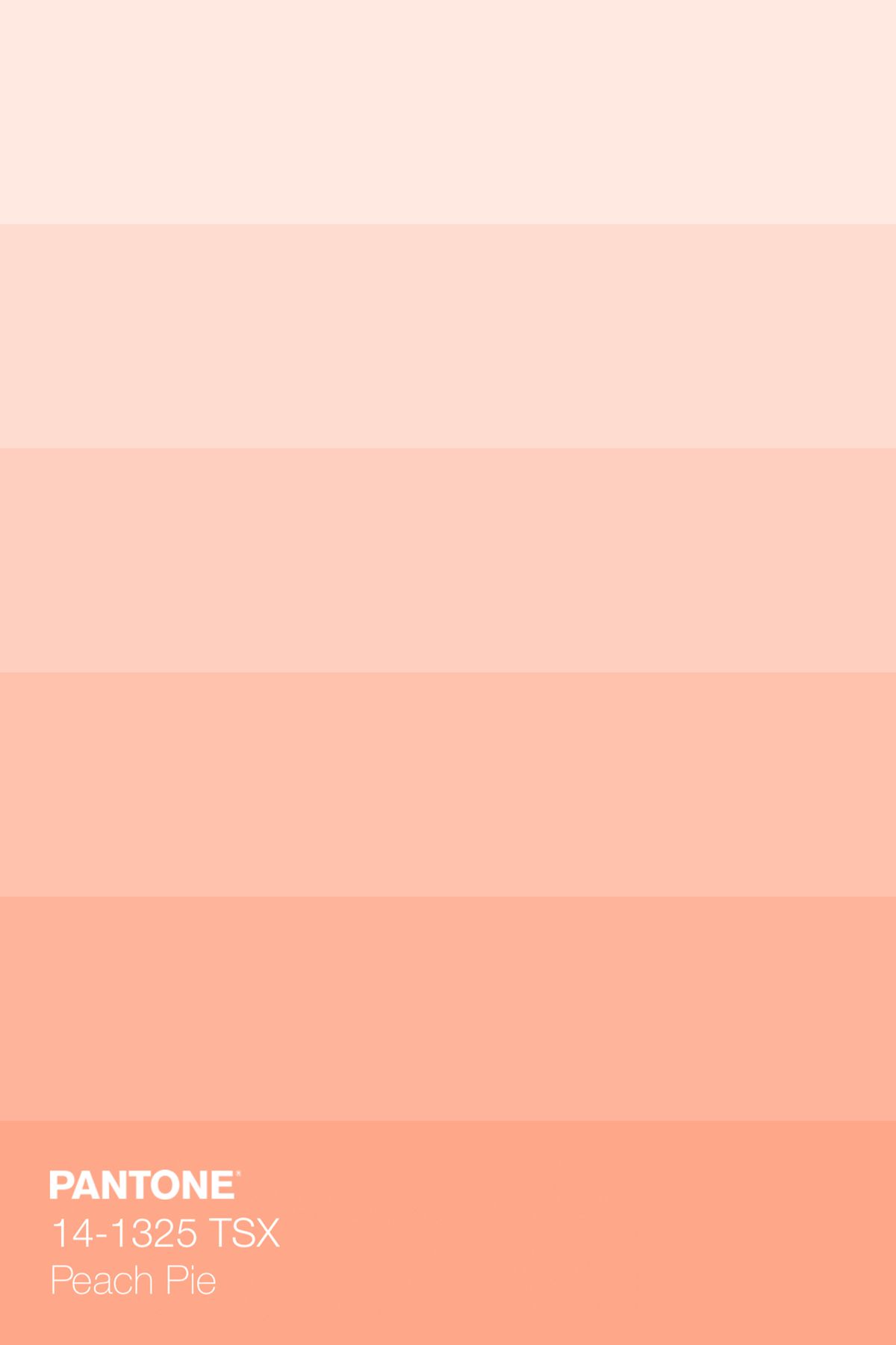 Peach Color Palettes, Pantone Colour Palettes, Pastel Colour Palette ...