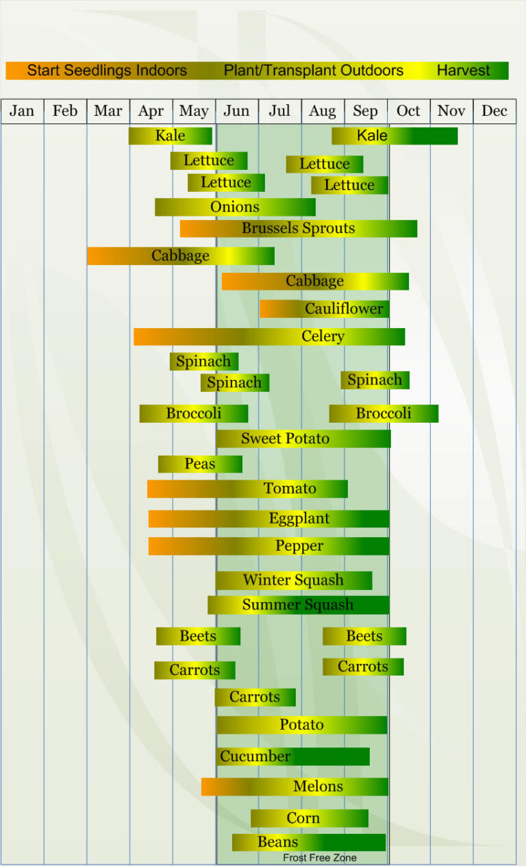 Explain Difference of Zone 5a and 5b