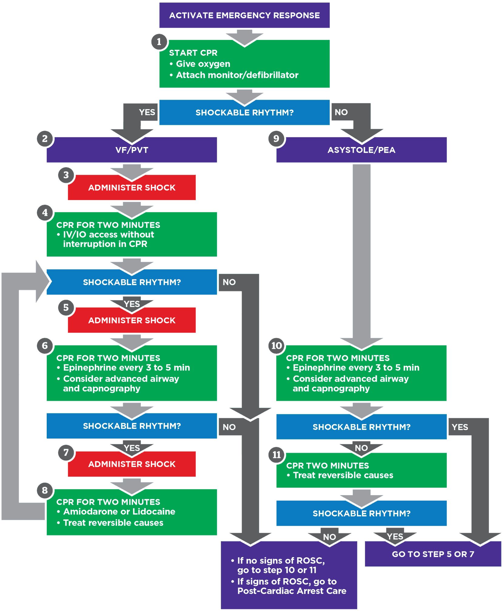 ACLS Cardiac Arrest Algorithm