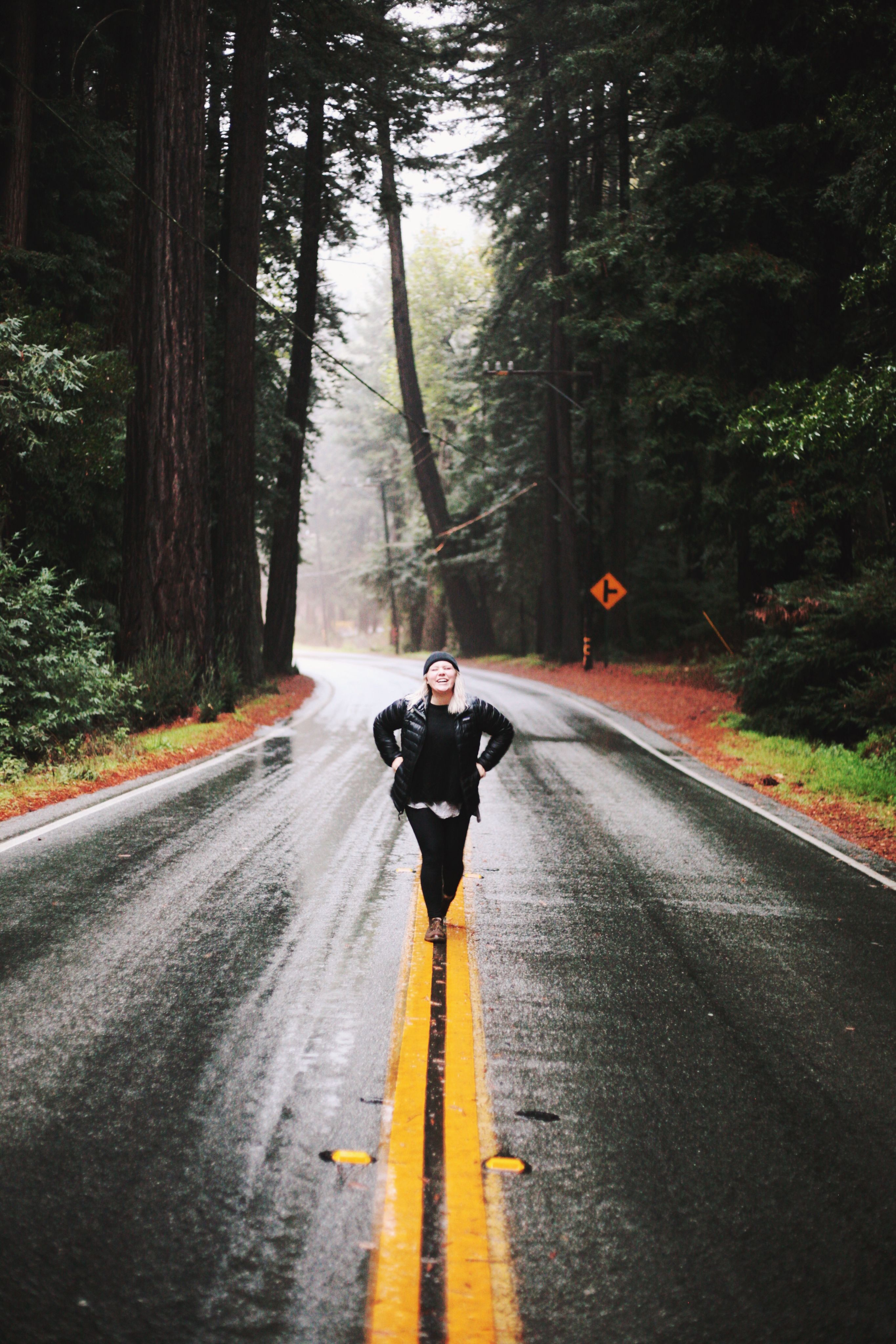 Big Sur National Forest Big Sur, National Forest, Country Roads, Photo ...