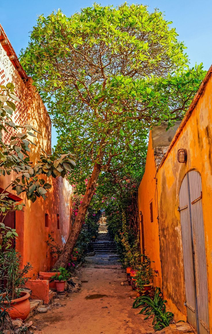 The+colors+of+Senegal+-+Colorful+street+in+Goree+island,+off+the ...